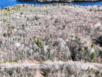 Chaney Lake Acreage For Sale in Bessemer Michigan