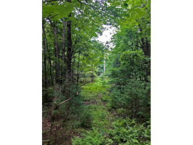 (private lake, pond, creek) Acreage For Sale in Queensbury New York