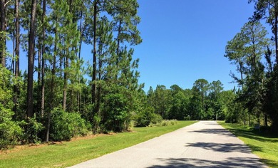 VIEW OF CHOCTAWHATCHEE BAY! DO NOT MISS THIS HALF ACRE lot on a - photo 11