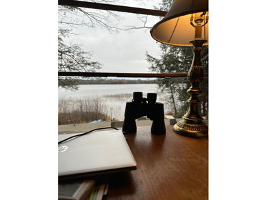 (265/DW) This is your chance to own a historic lake cabin in - photo 12