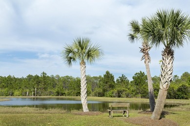 VIEW OF CHOCTAWHATCHEE BAY! DO NOT MISS THIS HALF ACRE lot on a - photo 13