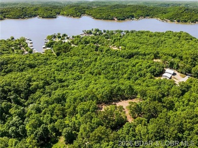 Perched above the Lake of the Ozarks with impressive views and a - photo 17