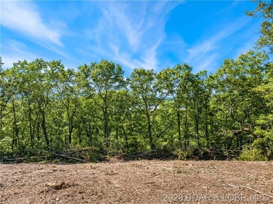 Perched above the Lake of the Ozarks with impressive views and a - photo 19