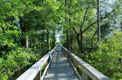 VIEW OF CHOCTAWHATCHEE BAY! DO NOT MISS THIS HALF ACRE lot on a - photo 20