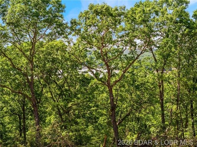 Perched above the Lake of the Ozarks with impressive views and a - photo 20