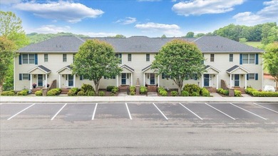 Waterfront, short-term rentable townhouse in a highly desirable - photo 20
