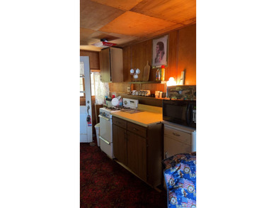 (265/DW) This is your chance to own a historic lake cabin in - photo 21