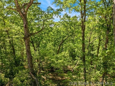 Perched above the Lake of the Ozarks with impressive views and a - photo 21