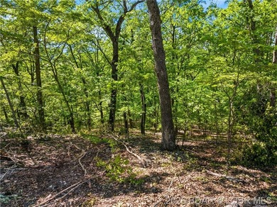 Perched above the Lake of the Ozarks with impressive views and a - photo 22