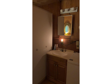(265/DW) This is your chance to own a historic lake cabin in - photo 23