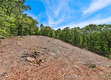 Perched above the Lake of the Ozarks with impressive views and a - photo 23