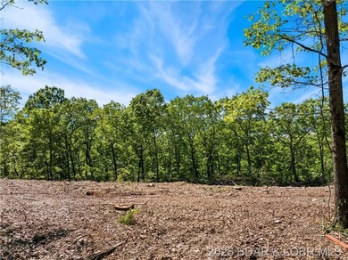 Perched above the Lake of the Ozarks with impressive views and a - photo 24