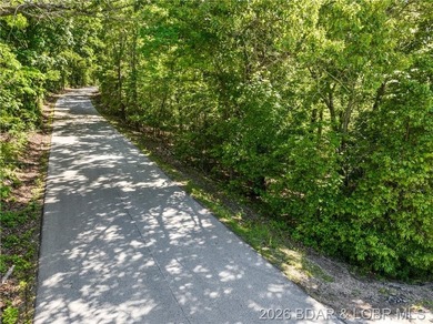 Perched above the Lake of the Ozarks with impressive views and a - photo 25