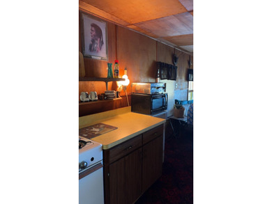 (265/DW) This is your chance to own a historic lake cabin in - photo 26