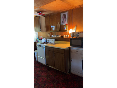 (265/DW) This is your chance to own a historic lake cabin in - photo 28