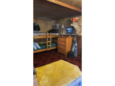 (265/DW) This is your chance to own a historic lake cabin in - photo 29