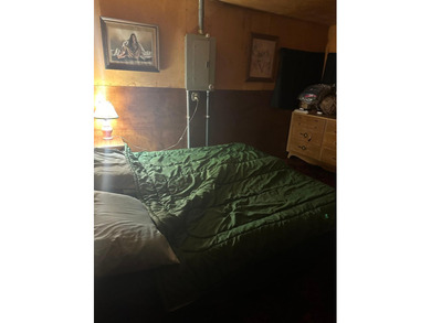 (265/DW) This is your chance to own a historic lake cabin in - photo 30