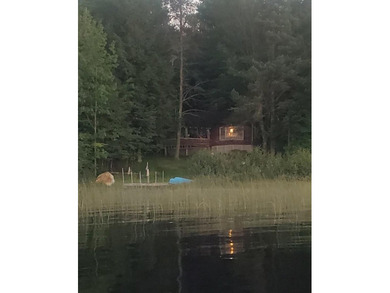 (265/DW) This is your chance to own a historic lake cabin in - photo 35