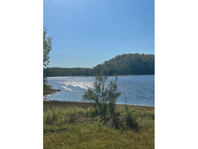 (265/DW) This is your chance to own a historic lake cabin in - photo 36