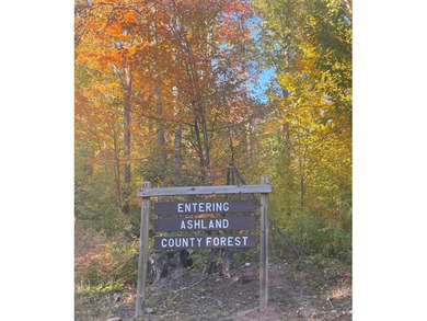 (265/DW) This is your chance to own a historic lake cabin in - photo 38