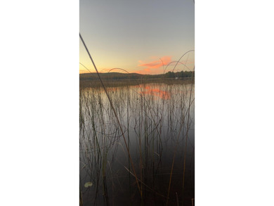 (265/DW) This is your chance to own a historic lake cabin in - photo 41