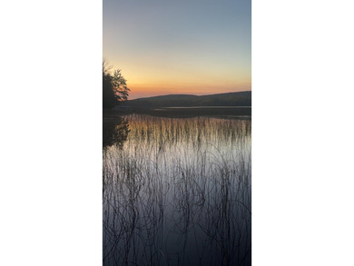(265/DW) This is your chance to own a historic lake cabin in - photo 42