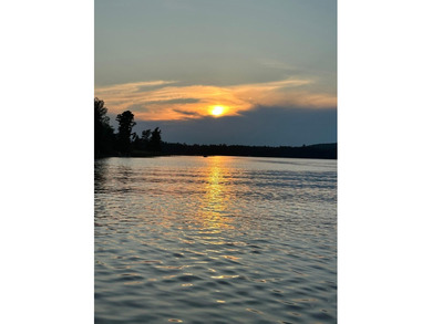 (265/DW) This is your chance to own a historic lake cabin in - photo 46