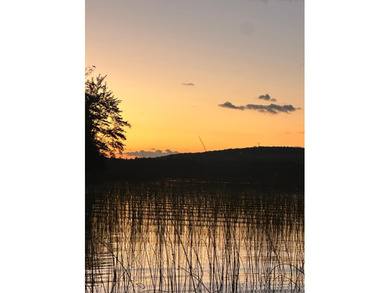 (265/DW) This is your chance to own a historic lake cabin in - photo 48