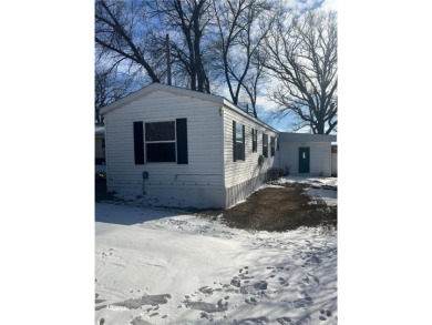 Lake Home For Sale in Saint Peter, Minnesota