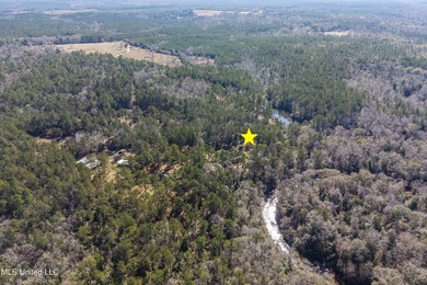Unique Opportunity! Purchase both 10120 Road 307 and 10130 Road - photo 49