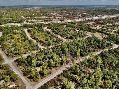 Discover a rare and affordable land opportunity in North Port's - photo 7