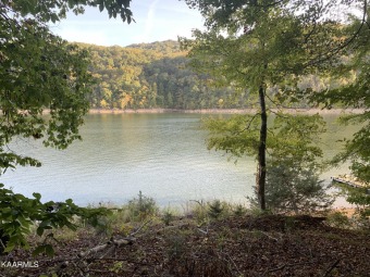 Rare lakefront inset lot on a cove with gorgeous views in Lone - Lake Lot For Sale in New Tazewell, Tennessee