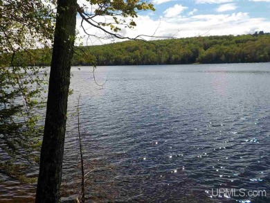 Swan Lake - Iron County Acreage For Sale in Crystal Falls Michigan