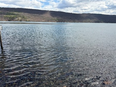 Welcome to your lakeside escape located on beautiful Keuka Lake - photo 3