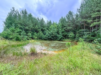 If you've been looking for a place where you can get away from - photo 10