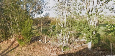 Guadalupe River - Guadalupe County Lot For Sale in Seguin Texas