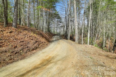 18+/- Acres commercial and residential land with 600' road - photo 20