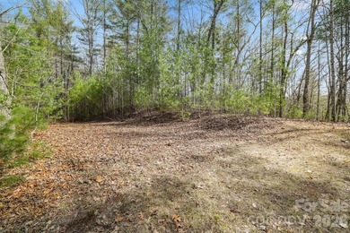 18+/- Acres commercial and residential land with 600' road - photo 21