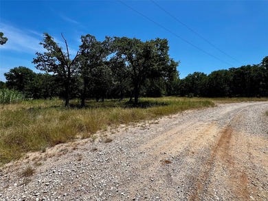 Beautiful lot located in the gated community of Nocona Hills - photo 3