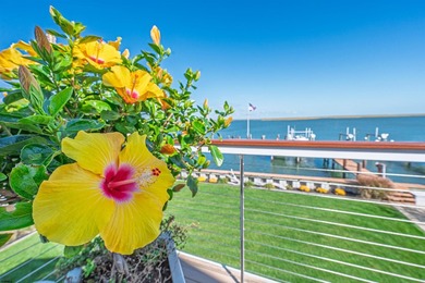 Bayfront boaters' paradise. Welcome to 1411 East Shore - photo 39