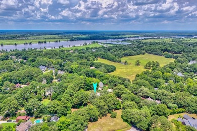 Uncommon opportunity in River Oaks Estates, off Waverly Road - photo 40