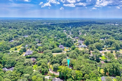 Uncommon opportunity in River Oaks Estates, off Waverly Road - photo 41