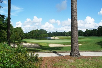 Uncommon opportunity in River Oaks Estates, off Waverly Road - photo 42