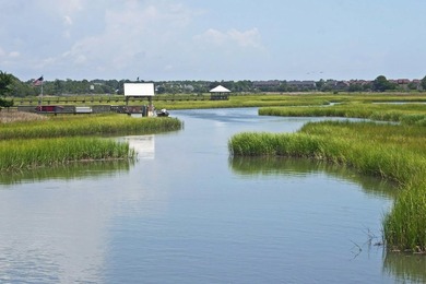 Uncommon opportunity in River Oaks Estates, off Waverly Road - photo 43