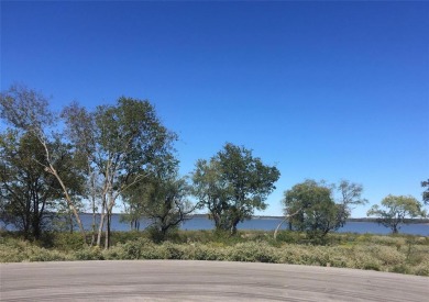 Cedar Creek Lake Lot For Sale in Kemp Texas