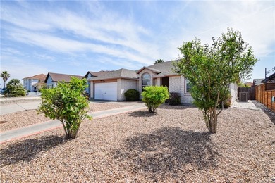 Your Slice of Paradise Awaits on N. Padre Island! Don't miss - photo 4
