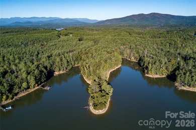 One of the most unique and valuable homesites in Old Wildlife - photo 2