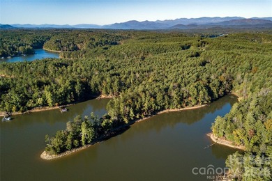 One of the most unique and valuable homesites in Old Wildlife - photo 3
