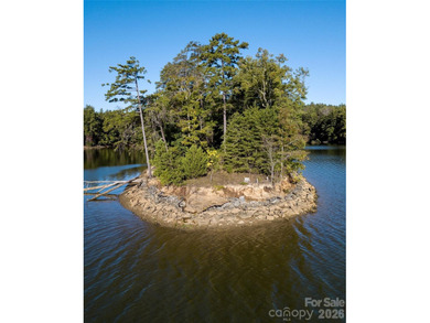 One of the most unique and valuable homesites in Old Wildlife - photo 6