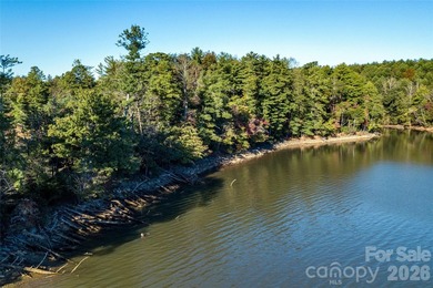 One of the most unique and valuable homesites in Old Wildlife - photo 7